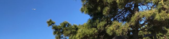 おじょー0807's header image