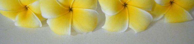 etsu730's header image