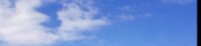 pobucco's header image