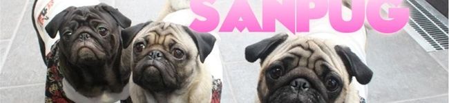 vivi1218's header image