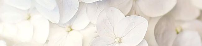 tsuuchanx's header image