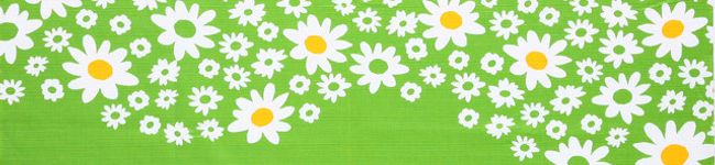 れこ♡'s header image
