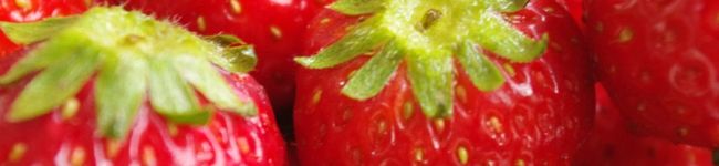 lifeislife's header image