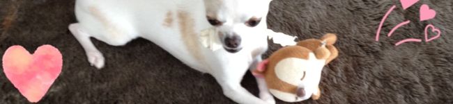 マシモ元嫁's header image
