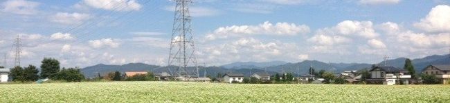 にゃごちゃんすきすき's header image