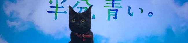 えみまみ's header image