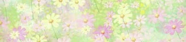 sweet_rose's header image