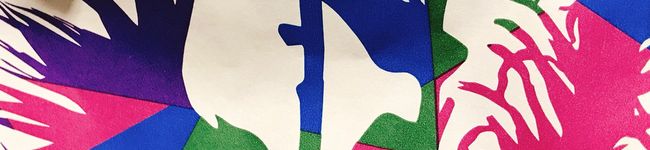 TapiokaSan's header image