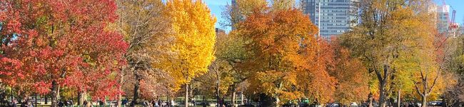 cafeS's header image