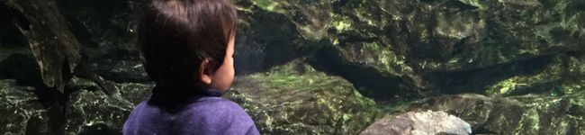 灘田kinuko's header image