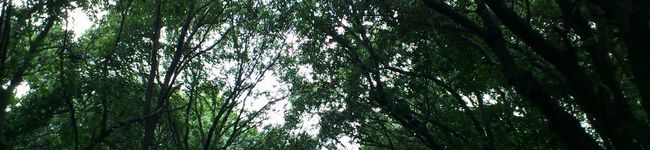 のんるっく's header image