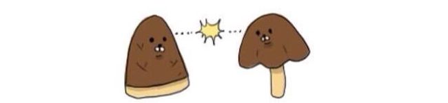 さやさん、。's header image
