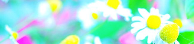 ＊nana＊k's header image