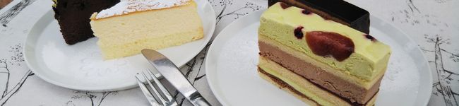 ちーこことれんれん's header image