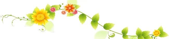 Fujiレシピ's header image