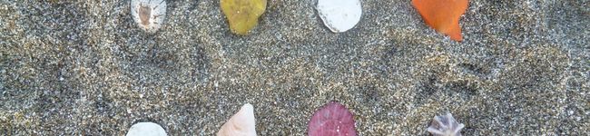 kokosurfin's header image