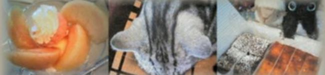 tomonyaa's header image