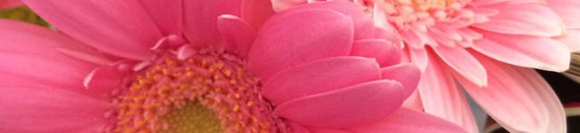 chigatan's header image