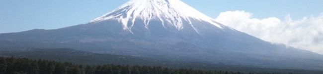 momo0319's header image