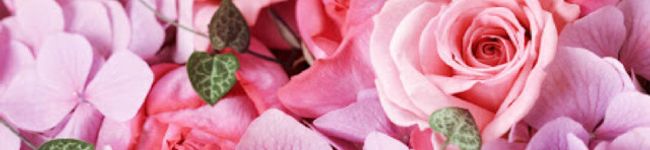 NaCH…'s header image