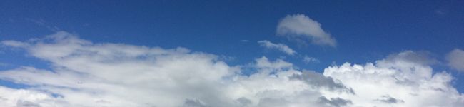 ERRRLY's header image