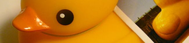 piyochako's header image