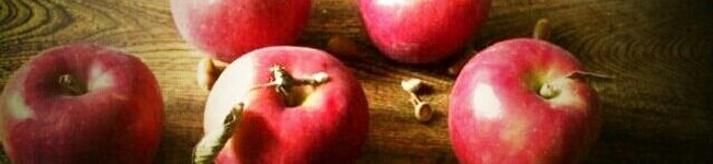 ＊アリと角砂糖＊'s header image