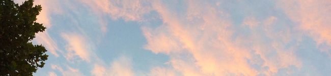 ゆうなぎっ's header image