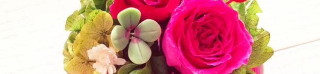 ウタ♡'s header image