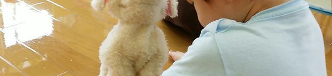 はるたんママ0727's header image