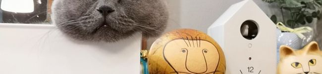 ♪こみき♪'s header image