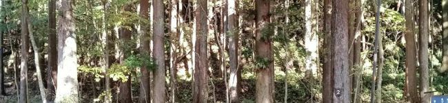MIE4041's header image