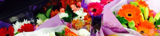 ＲＩＳＵ♡'s header image