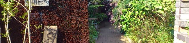 Kαi＊MαMα's header image