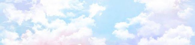 cocoroot's header image
