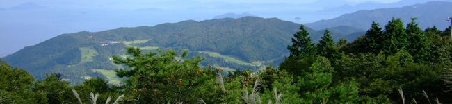 malpre's header image