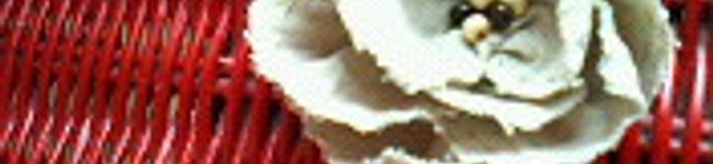 ハッコ's header image