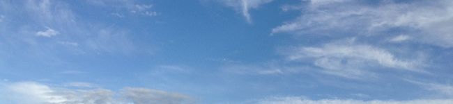 riepyonnnn's header image