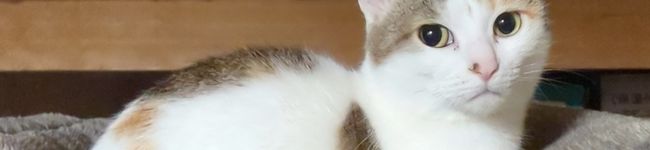左手クッキング✋'s header image