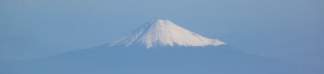 博多のリリー's header image