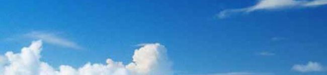 トロトトロ's header image