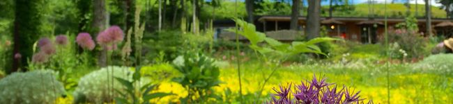suichi〜☆'s header image