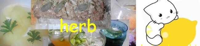 香月海音's header image