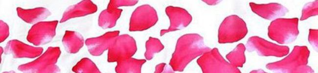 terakao14's header image