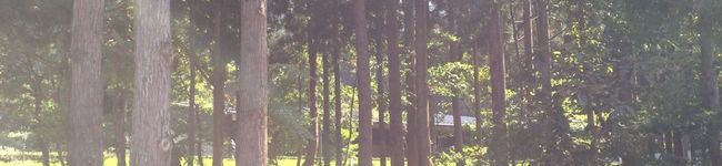 男子大学生T's header image