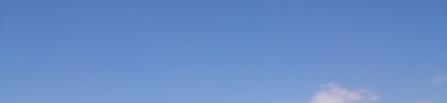 にこｘ２ごはん's header image