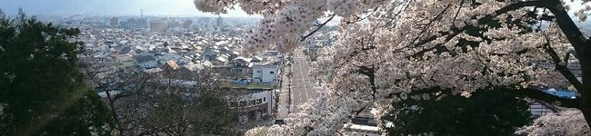 aizunosora's header image