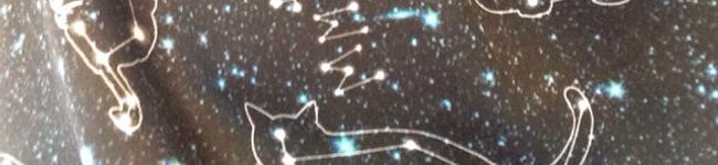 s2meisaes2's header image