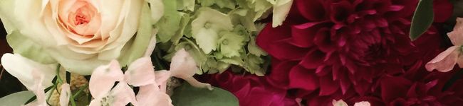 食彩佐蔵's header image