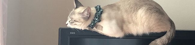 あーーちゃんTH's header image